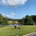 Chris Rix - @crix5.0 - Instagram
