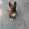 chris rizor - @chrisrizor1 - TikTok