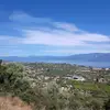 Chris Rizos - @chrisrizos81 - TikTok