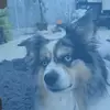 chrisrizz101 - @chrisrizz101 - TikTok