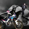 Chris_Road_Captain_76 - @chrisroadcaptain - TikTok