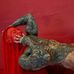 Chris Roberts - Facebook