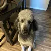 ChrisRodZ - @chris2134242 - TikTok
