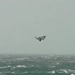 Chris Roos - @1967ludwig - Instagram