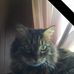 Chris Rossiter - Facebook
