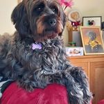 Chris Rossiter - @chris.rossiter.50 - Instagram