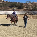Chris Rousseau - @annies_starlight - Instagram