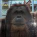 Chris Rousseau - Facebook