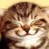Chris Rousseau - @chris.rousseau2 - TikTok