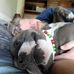 Chris Rupp - Facebook
