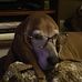 Christopher Rupp - Facebook