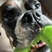 Christopher Rupp - Facebook