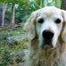 Chris Ruppert - Facebook