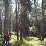 Chris Ryals - @cryals.surveyor - Instagram