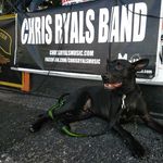 Chris Ryals Band - @chrisryalsband - Instagram