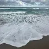 chris ✞ - @chris.sanders21 - TikTok