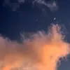 chris sasser jr. - @chris.sasser - TikTok