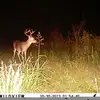 Chris Saucier - @user864408145 - TikTok