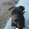 Chris Schaeffer - @chris.schaeffer69 - TikTok