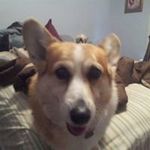 Chris Schell - @schell4364 - Instagram