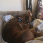 Chris Schell - @thecoolchris45 - Instagram