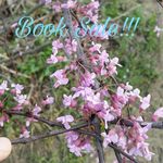 Christina Schickler - @schickler_bookshelf - Instagram