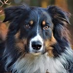 Chris Schindler - @chris_ralf_sch - Instagram