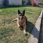 Chris Schindler - @schindlerandco - Instagram