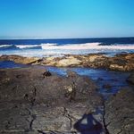 Chris-Mari Scholtz - @chrismari2 - Instagram