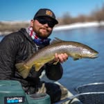 Chris Scholtz - @cscholtz02 - Instagram