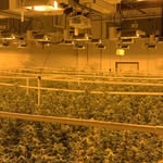 Chris Schultze - @_cannachris420_ - Instagram