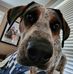 Chris Schultze - Facebook