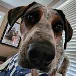 Chris Schultze - @twitchyapex - Instagram