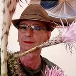 Chris Schulz - @chris_schulz_cologne - Instagram