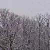 Chris Schulz - @chris.schulz1 - TikTok