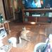 Chris Schumann - Facebook