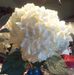 Chris Schutt - Facebook