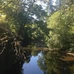 Chris Schwab - @schwab6753 - Instagram