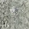 chrisschwab586 - @chrisschwab586 - TikTok