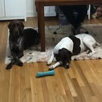 Chris Schwarz - Facebook