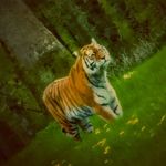 Chris Scruton - @scrutonchris - Instagram