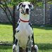 Chris Seabolt - Facebook