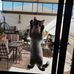 Chris Seal - Facebook