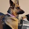 Chris Seals - @chris.seals60 - TikTok