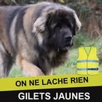 Chris Seals - @gaelle.barelle - Instagram