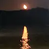 chrisseals681 - @chrisseals681 - TikTok