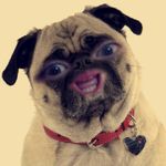 Chris Seavey - @nyan.cat.life.reposting - Instagram