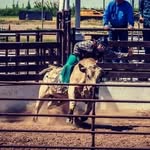 timmey bob - @chris_seavey1 - Instagram