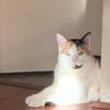 Crystal - @chrisi.seidler - TikTok