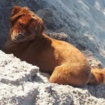 Christina Meiselbach - @christinameiselbach - Instagram
